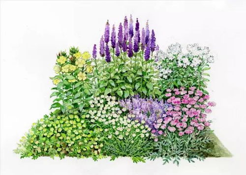 101張超高清精品手繪花境，驚艷你的家居視覺體驗